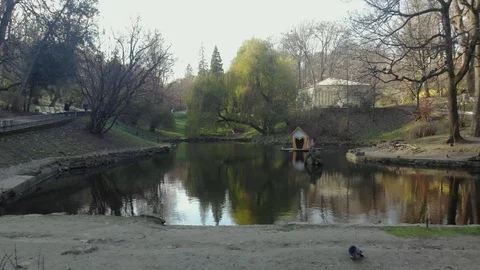 Magical view of a large city park Stock Footage 126547251