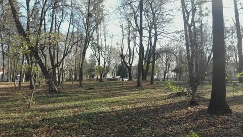 Magical view of a large city park 動画素材 126548490