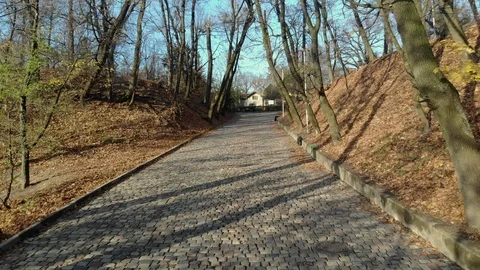 Magical view of a large city park 動画素材 126549847