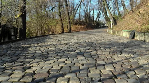 Magical view of a large city park Stock Footage 126550774