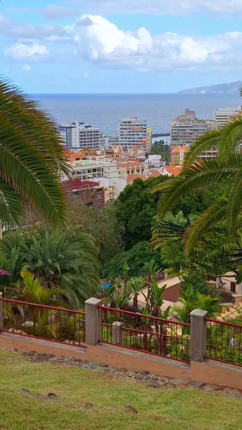 Magical view of Puerto de la Cruz. Video stock 344559344