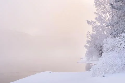 The magical winter background of copy space is a frosty January winter morning Stock Photos