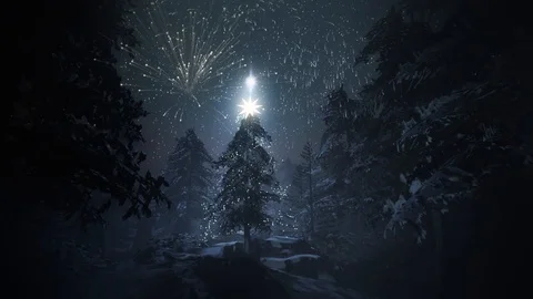 Magical Winter Forest night with firework. Starry night sky animation. Christmas Stock Footage 120081850