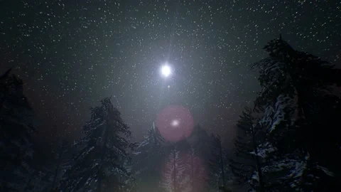 Magical Winter Forest night. Starry night sky animation. Stock Footage 164175140