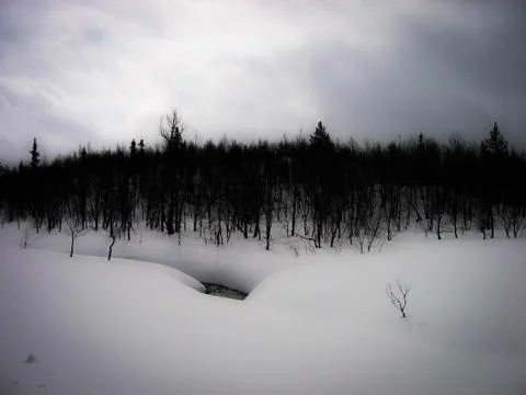 Magical winter landscape Stock Photos