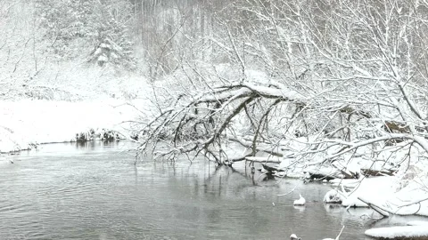 Magical winter scenery with heavy snowfall on forest trees and babbling brook Stock Footage 147278653