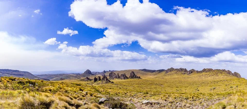 MagicalKenya Stock Photos