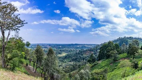 MagicalKenya Stock Photos