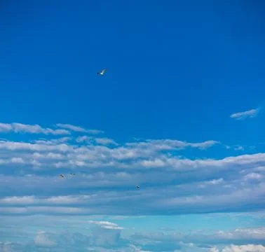 MagicalKenya Stock Photos