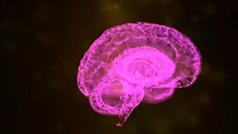 Magically designed pink human brain floating in space of bokeh particles. Stock Footage 121814156