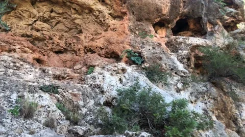 The Maglite cemetery in the corner includes about 3,000 cemeteries carved in the Video stock 157441096