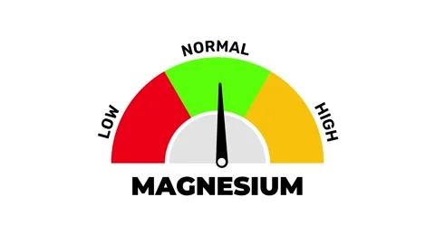 Magnesium Level Indicator Dial Animation Low, Normal, High Gauge Stock Footage 318045653