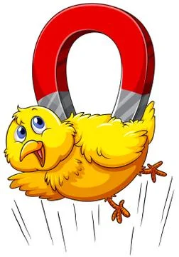 Magnet pulling chicken up Stock Illustration