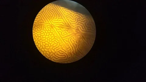 Magnetic domain under microscope magnification. Micro chip domain walls Stock Footage 128058663
