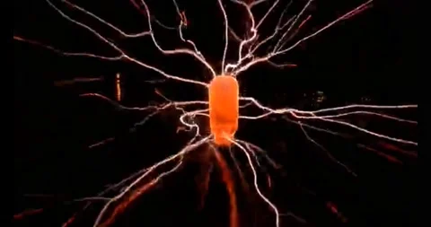 Nervous System Neuron Cells Stock Video Footage | Royalty Free Nervous ...