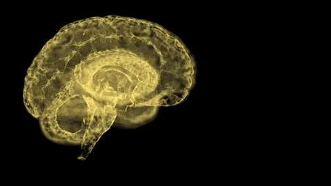 Magnetic resonance video of human brain over black background. Stock Footage 121805341