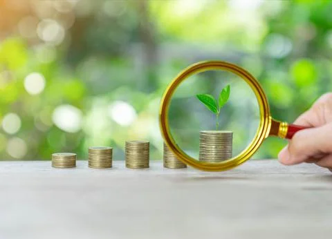 Magnifi zoom tree on coin stack concept of grow saving on out of focus backgr Stock Photos