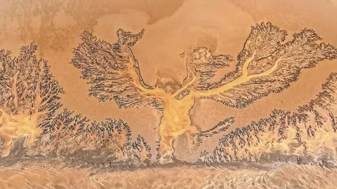 Magnificent Aerial View of Tidal Tree Pattern Qiantang River Tidal Bore China Stock Footage 339593756