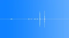 Magnificent Bird of ParadiseSound Effect