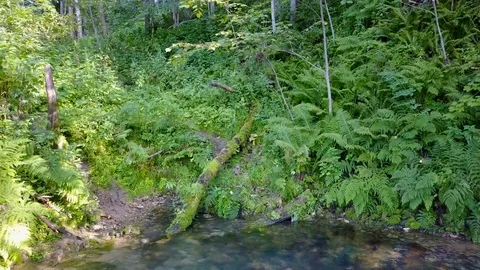 Magnificent mini waterfall in the mountain sub mountain Stock Footage 81532770