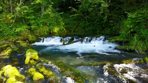 Magnificent mini waterfall in the mountain sub mountain Stock Footage 81535031