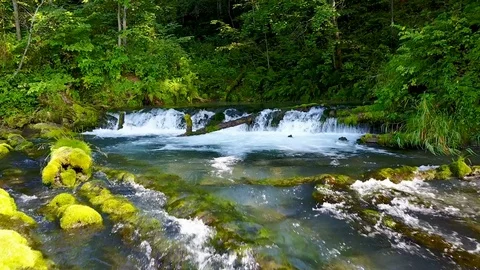 Magnificent mini waterfall in the mountain sub mountain Stock Footage 81537166