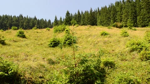 Magnificent mountain landscape Stock Footage