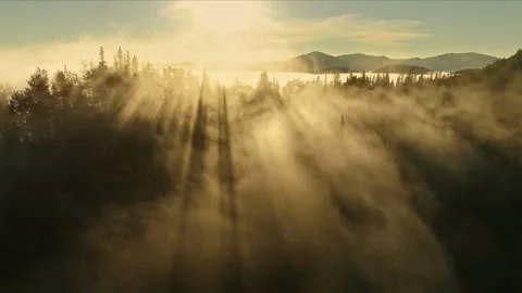 Magnificent rays of the rising sun make their way through the clouds and tree Video stock 138799445