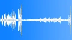 Magnificent Riflebird CU DisplaySound Effect