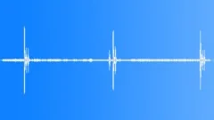 Magnificent Riflebird CU Sound Effect