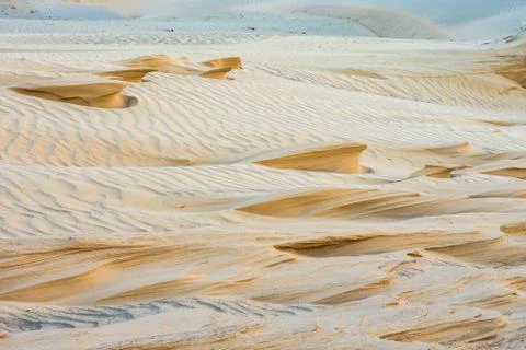 Magnificent sandy waves Stock Photos