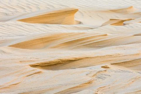 Magnificent sandy waves Stock Photos