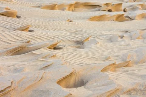 Magnificent sandy waves Stock Photos