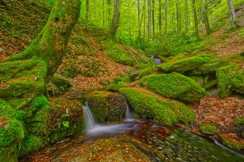 Magnificent small waterfall view hidden in mysterious forest Stock Photos