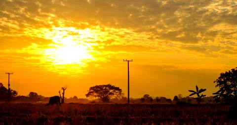 Magnificent sunset and beautiful clouds Stock Footage 261102637
