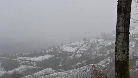 The magnificent view of the falling snow in the surroundings Stock Footage 301805567