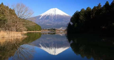 Magnificent view of inverted Mount Fuji reflecting in Lake Tanuki under a clear Stock Footage 337451301