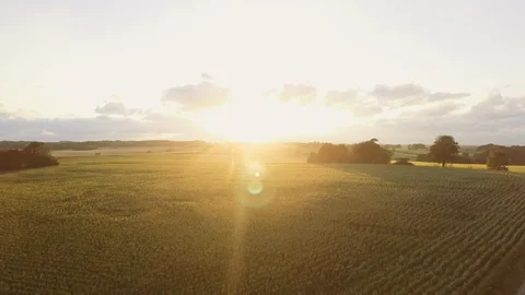 Magnificent View of Lush Green Fields with Sun Shining Brightly Above It Stock Footage 122990219