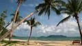 Magnificent view of the sea and palms on the beach, Koh-Chang island, Thailand HD Footage