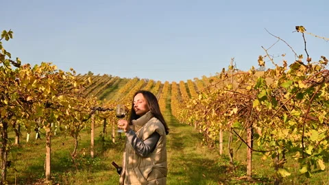Magnificent vineyard in the hills of Emmilia Romagna in autumn. Woman with a Stock Footage 155490001