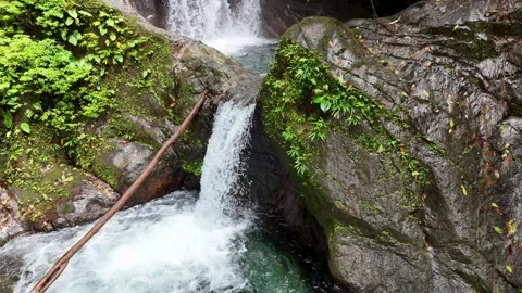 Magnificent waterfalls in a remote corner of the jungle, surrounded by Stock Footage 343891925