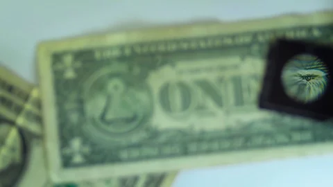 A Magnified Dollar Bill 스톡 동영상 101853932