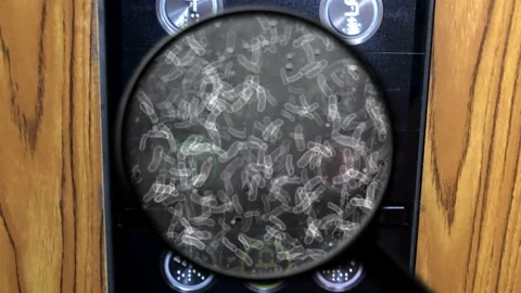 Magnified Germs on Elevator Buttons Highlighting Public Hygiene Stock Footage 332573373