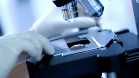 A magnified view of a bird flu virus, studied in a laboratory by experts. Stock Footage 336583482