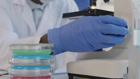 A magnified view of a bird flu virus, studied in a laboratory by experts. Stock Footage 336583538