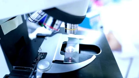 A magnified view of a bird flu virus, studied in a laboratory by experts. Stock Footage 336583547