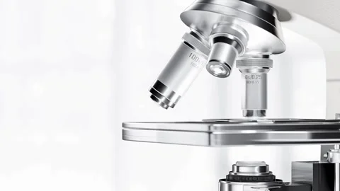 A magnified view of a bird flu virus, studied in a laboratory by experts. Stock Footage 336583566