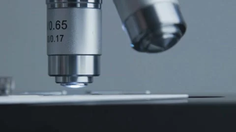 A magnified view of a bird flu virus, studied in a laboratory by experts. Stock Footage 336583596