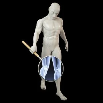 Magnifier x-ray Stock Illustration