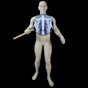 Magnifier x-ray Stock-Illustration